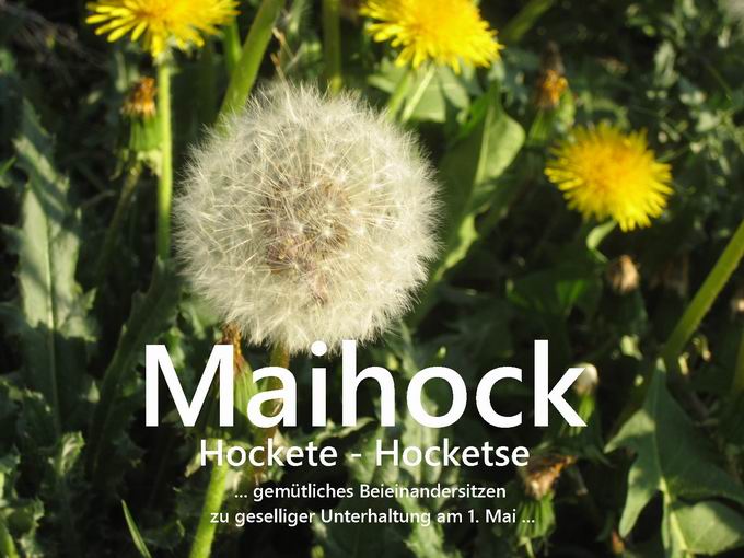 Maihocks in Sdbaden