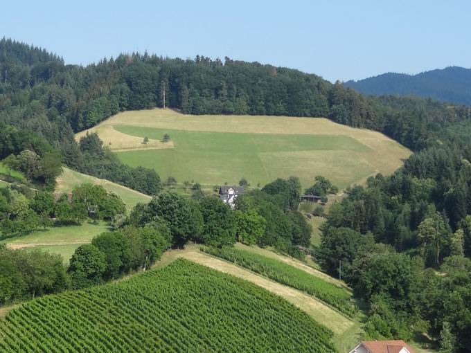 Hasgelhfe: Oberer Hasgelhof