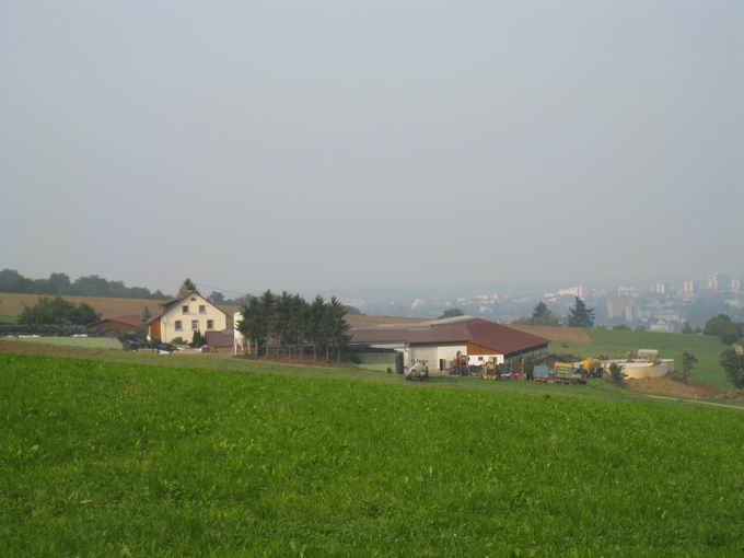 Hauerhof Au im Hexental