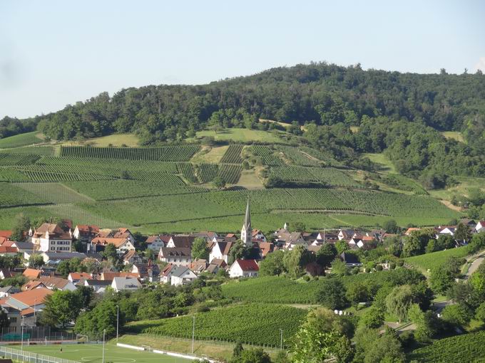 Bohl oberhalb von Ebringen