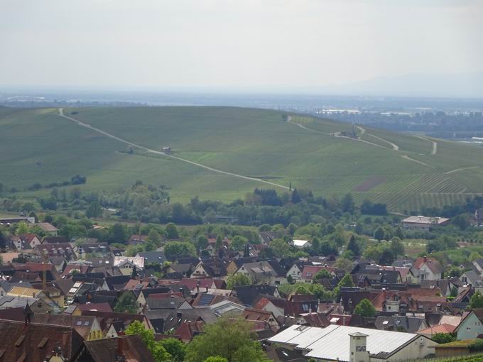 Aussichtspunkt Hammerstdleweg: Blick Batzenberg