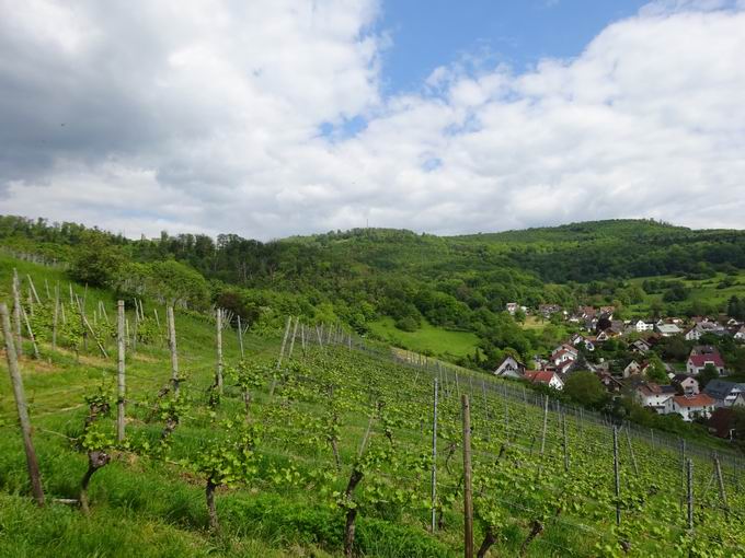 Aussichtspunkt Hammerstdleweg: Blick Schnberg