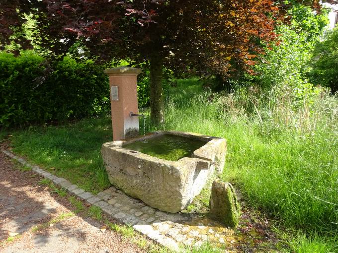 Hornberg Brunnen in Ebringen