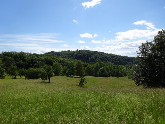 Hohfirst beim Naturschutzgebiet Berghauser Matten