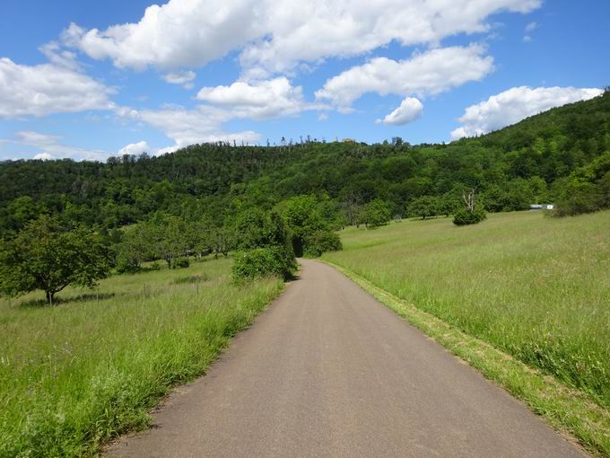 Schnbergstrae Ebringen