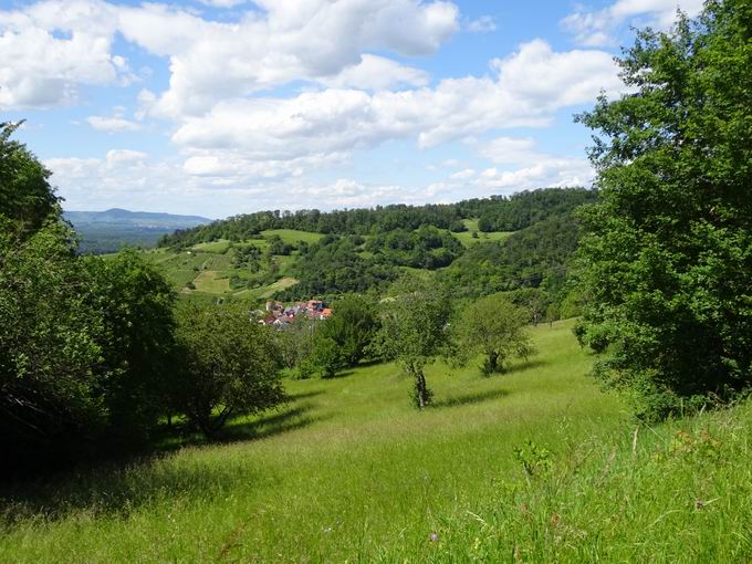 Schnbergstrae Ebringen: Blick Bohl