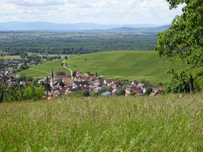 Schnbergstrae Blick Ebringen