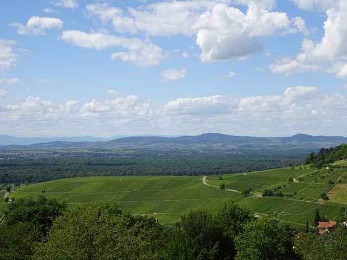 Schnbergstrae Ebringen: Kaiserstuhl