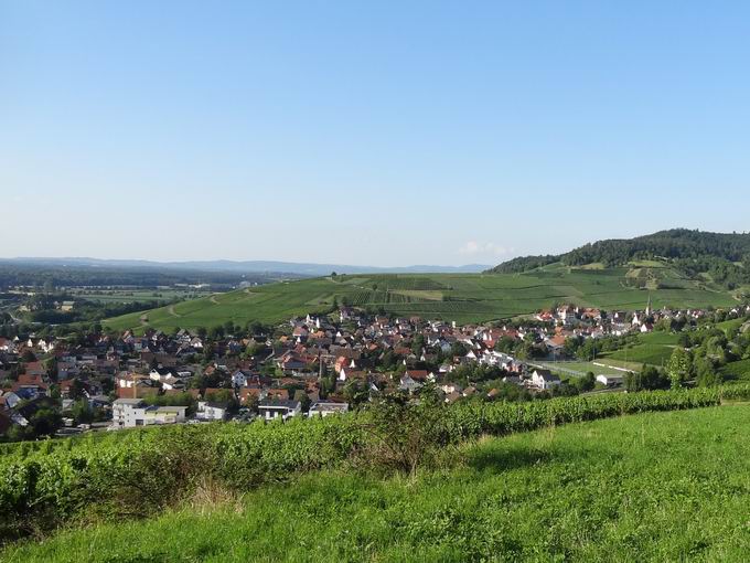 Sommerberg Ebringen