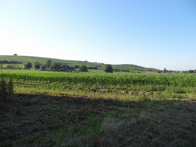 Brenstrae Ehrenkirchen: Blick Batzenberg