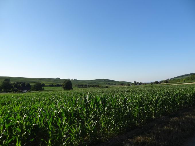 Kirchhofen im Breisgau