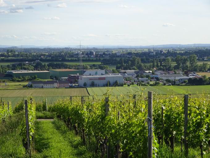 Batzenberg: Blick Niedermatten