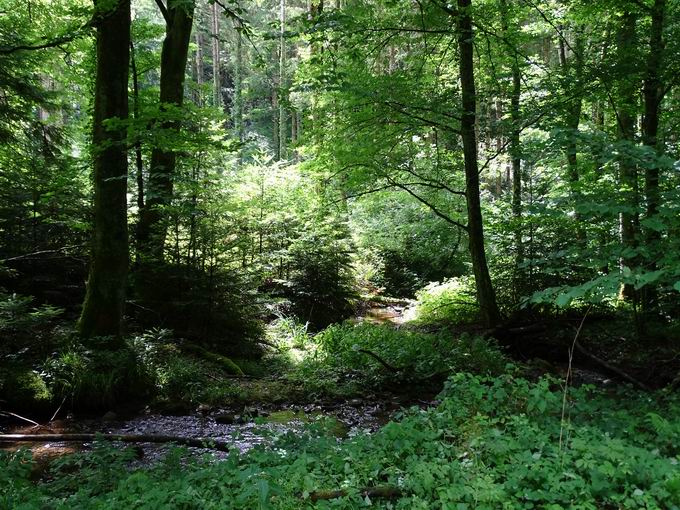 Ehrenstetten im sdlichen Breisgau