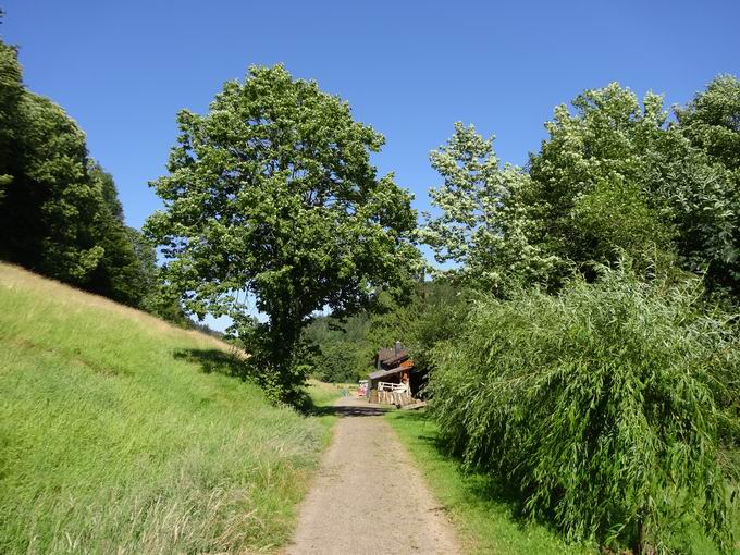 Tennenbach und Tennenbacher Tal