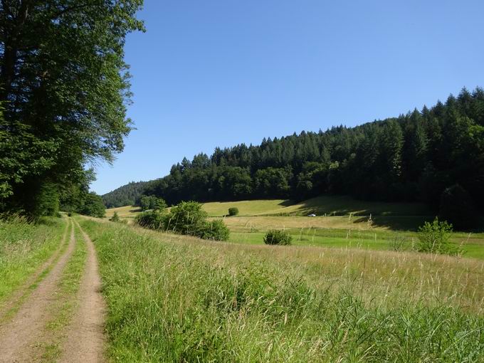 Alte Strae Tennebach: Westblick