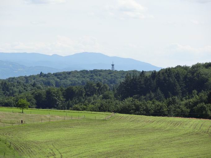 Allmendsberg: Eichbergturm