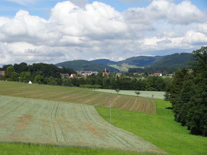 Allmendsberg: Blick Mubach