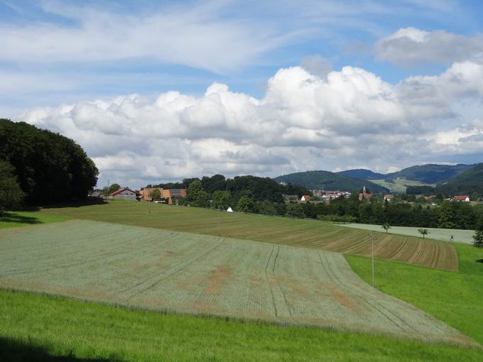 Allmendsberg: Blick Muttenstegenhof