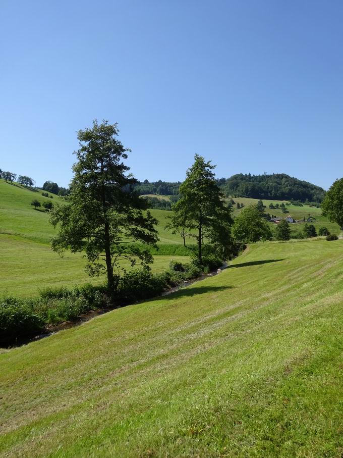 Brettenbach sdlich vom Wohnplatz Brettental