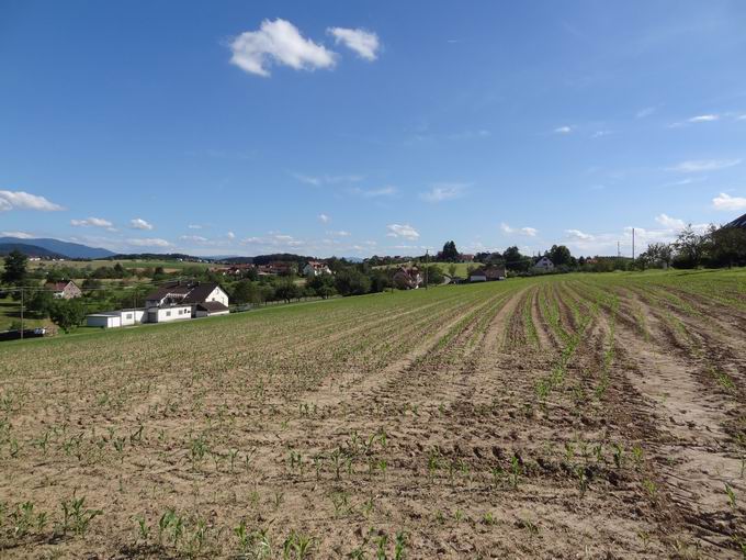 Wohnplatz Buhler bei Ottoschwanden