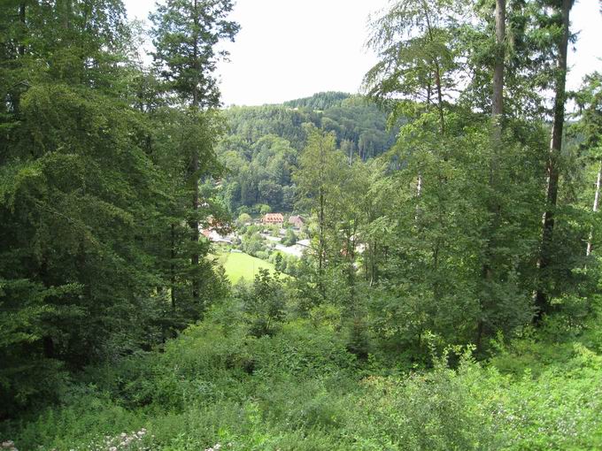 Burg Keppenbach: Blick Sgplatz