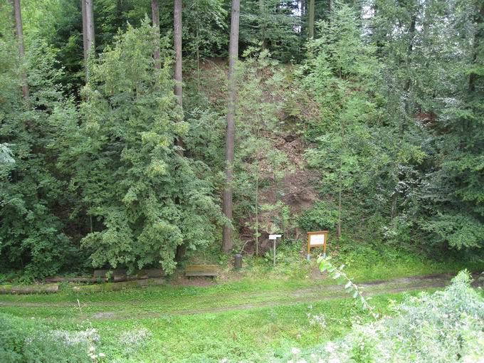 Burg Keppenbach: Halsgraben von Schildmauer aus