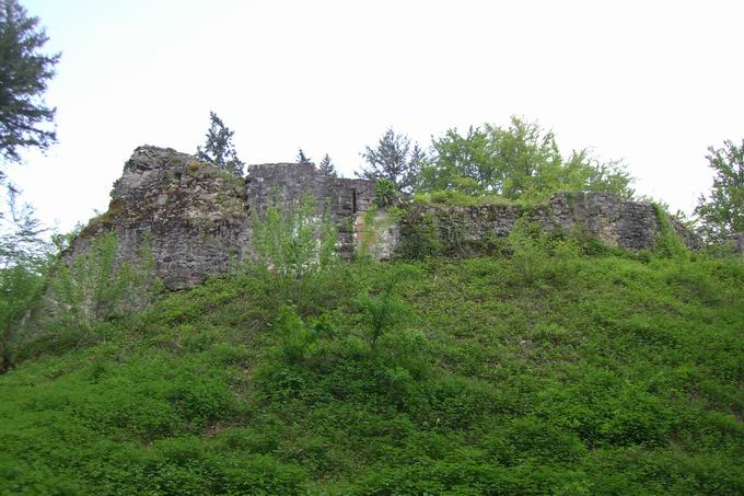 Burg Keppenbach: Sdansicht