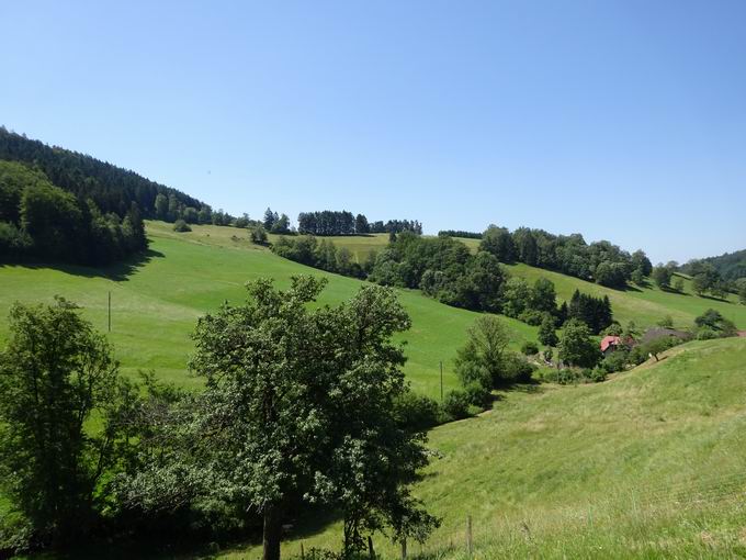 Hnersedelstrae Freiamt: Blick Ebene