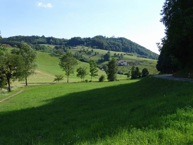 Saisenberg (589m) im Brettental