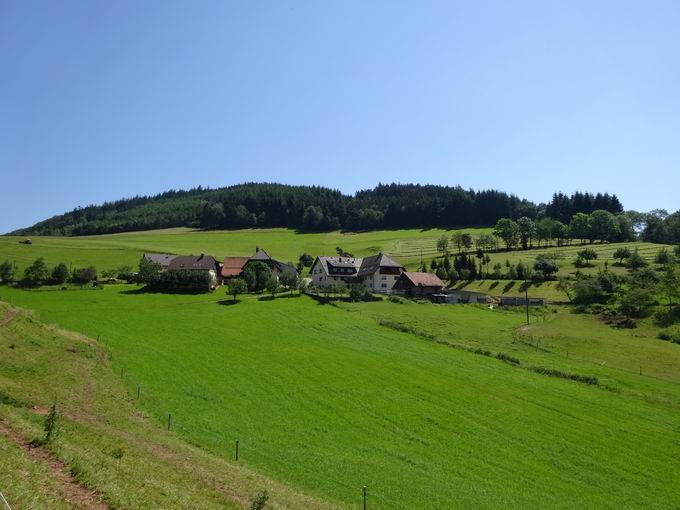 Wohnplatz Waldshut in Freiamt