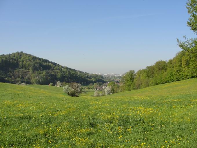 Lehener Eck: Blick Wildtal