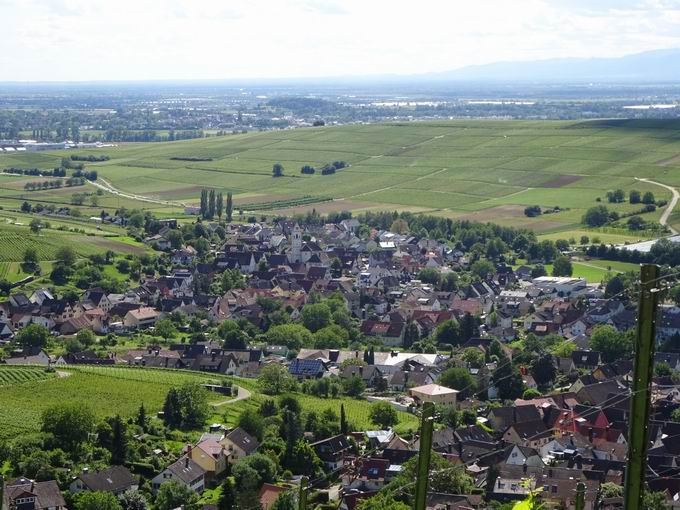 Drrenbergdenkmal Pfaffenweiler: Sdblick