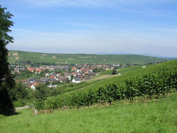 Ettenberg Pfaffenweiler: Blick Batzenberg