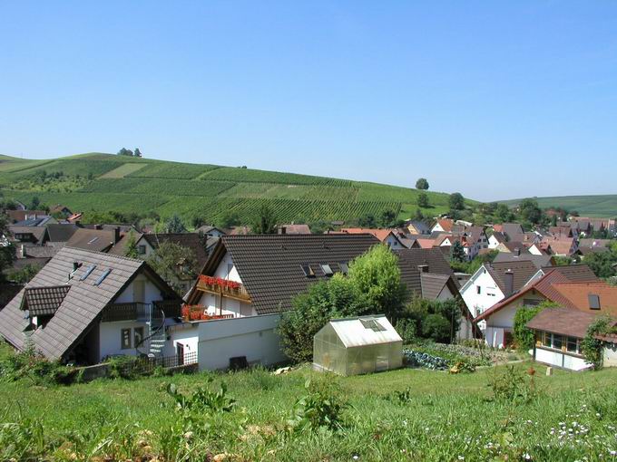 Ettenberg Pfaffenweiler: Blick Kirchhofer Berg