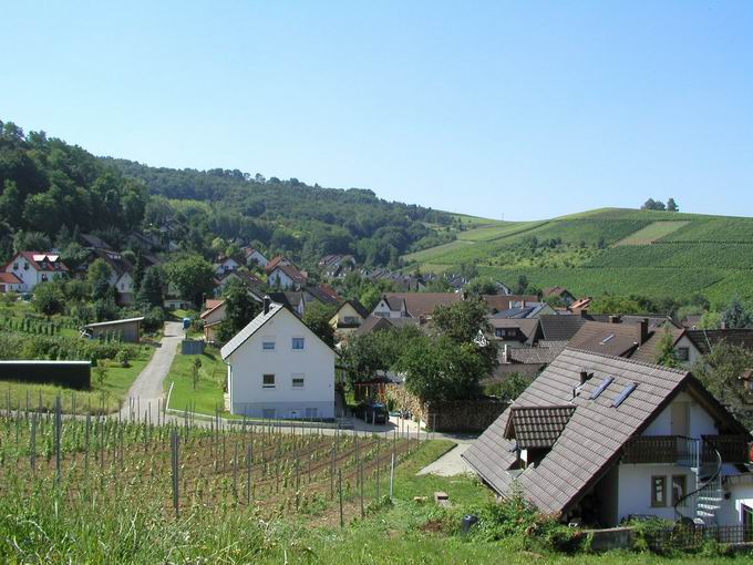 Ettenberg Pfaffenweiler: Blick nach Sden