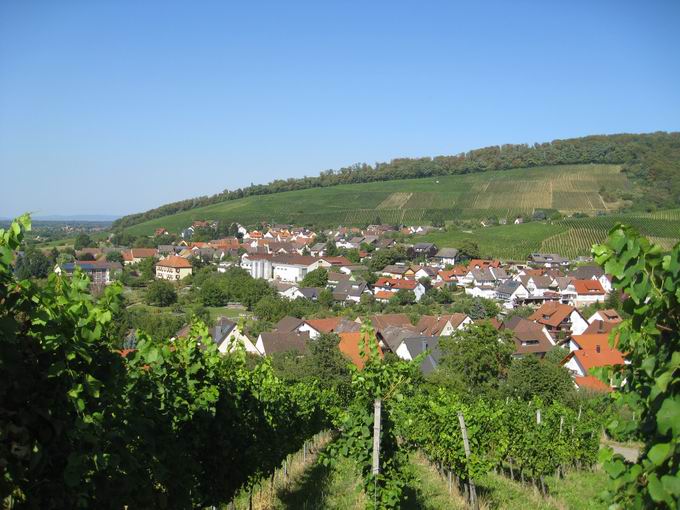 Kirchhofer Berg: Drrenberg