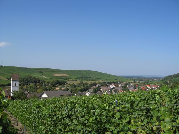 Kirchhofer Berg: Blick nrdliches Schneckental