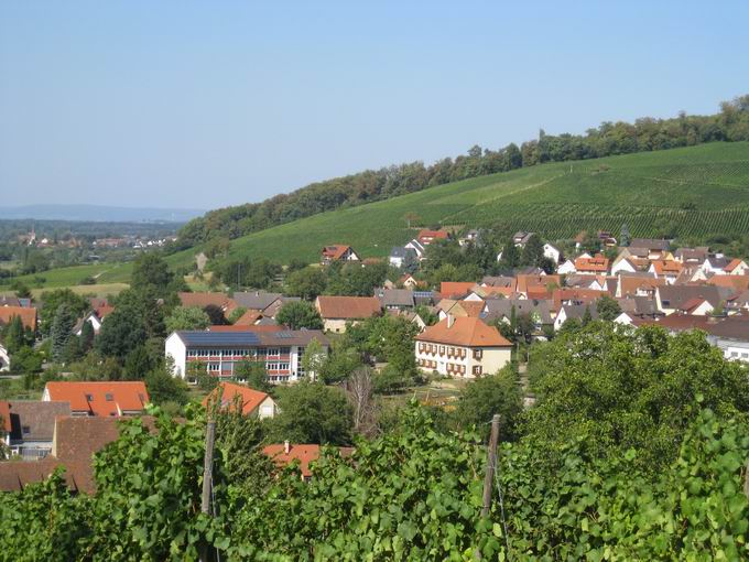 Pfaffenweiler