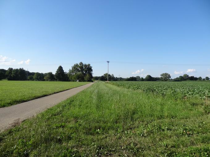 Altgraben Wolfenweiler: Nordblick