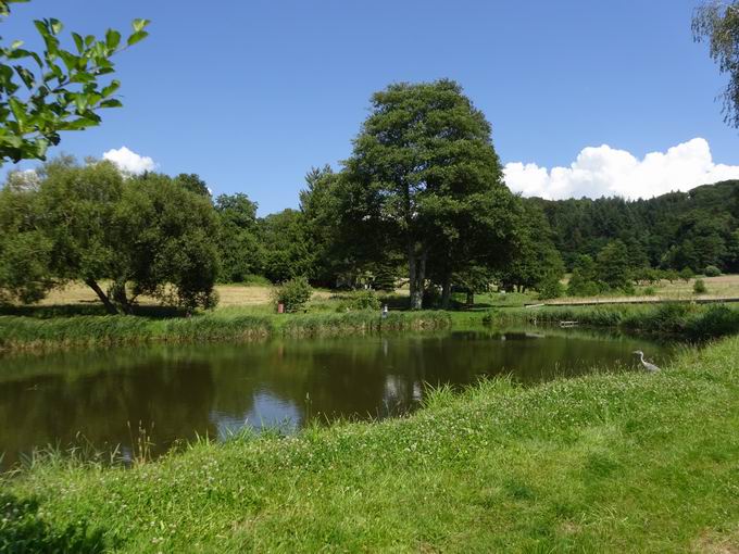 rtelweiher bei Sexau