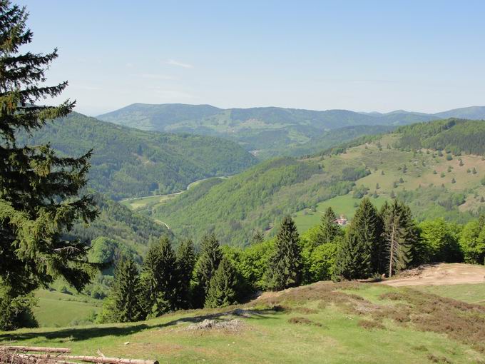 Berggasthof Hasenhorn: Blick Wiesental