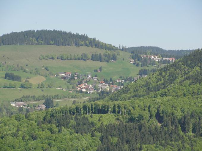 Hasenhorn. Blick Todtnauberg