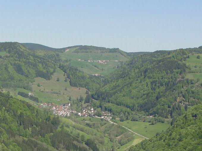 Berg Kpfle (1235m) bei Muggenbrunn