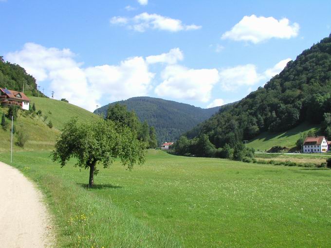 Schlechtnau: Nordblick Wiesental