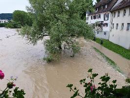 Sckinger Holzbrcke: Sdlicher Rheinuferweg bei Hochwasser