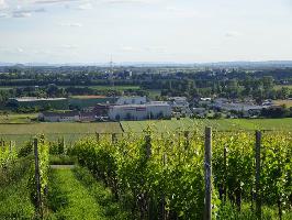 Batzenberg: Blick Niedermatten