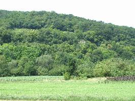 lberg Ehrenstetten: Ostansicht Felsen