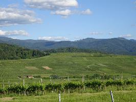 Weinlage Kirchofener Hllhagen