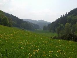 Tennenbach und Tennenbacher Tal » Bild 16
