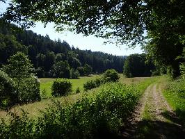 Alte Strae im Tennenbacher Tal